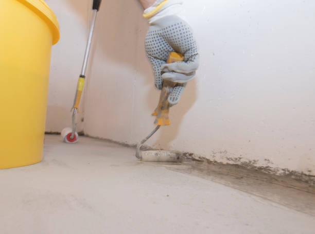 Best Pest Exclusion Services  in Hermitage, PA